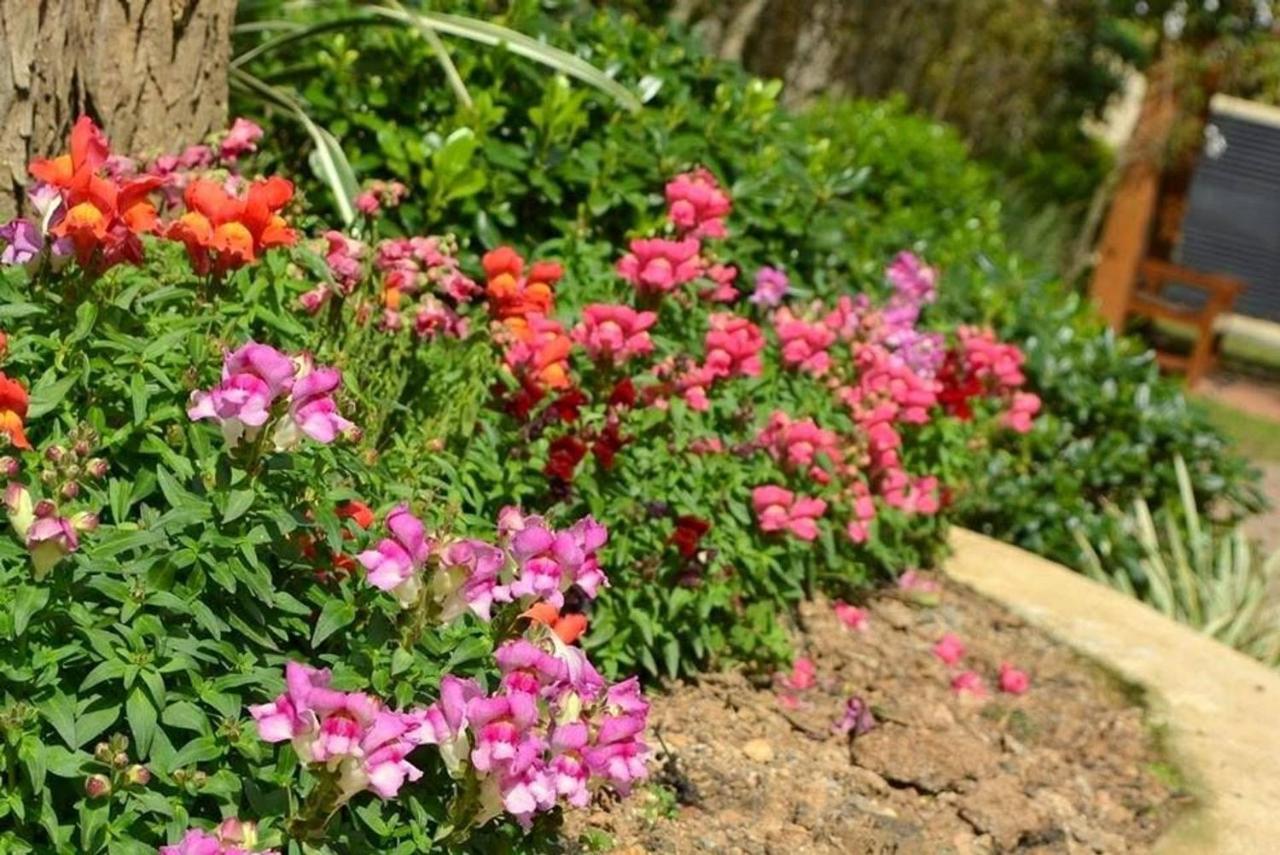 Locar-In Gramado Flores Da Montanha Centro ภายนอก รูปภาพ